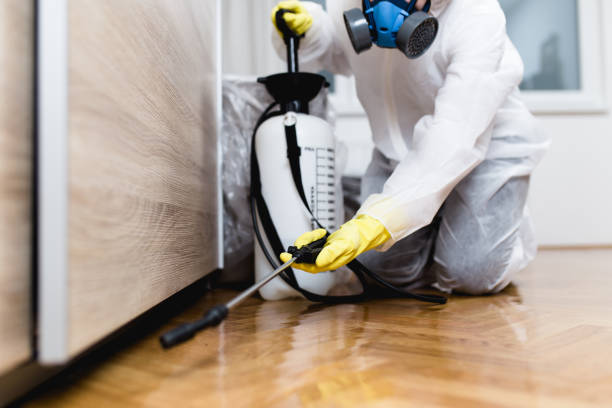 Best Emergency Pest Control  in Levittown, NY
