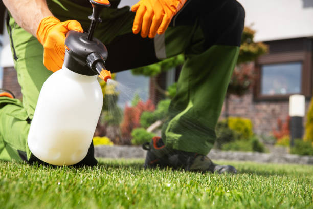 Best Wasp Removal Services  in Levittown, NY