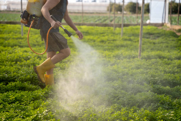 Best Pest Removal Services  in Levittown, NY