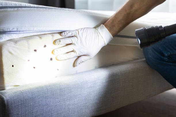 Levittown, NY Pest Control Company