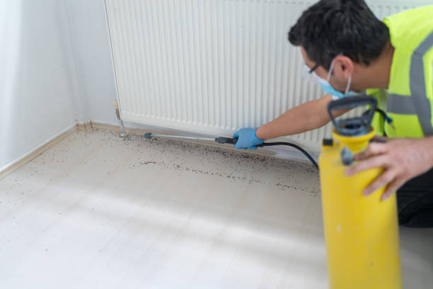 Best Cockroach Control Services  in Levittown, NY
